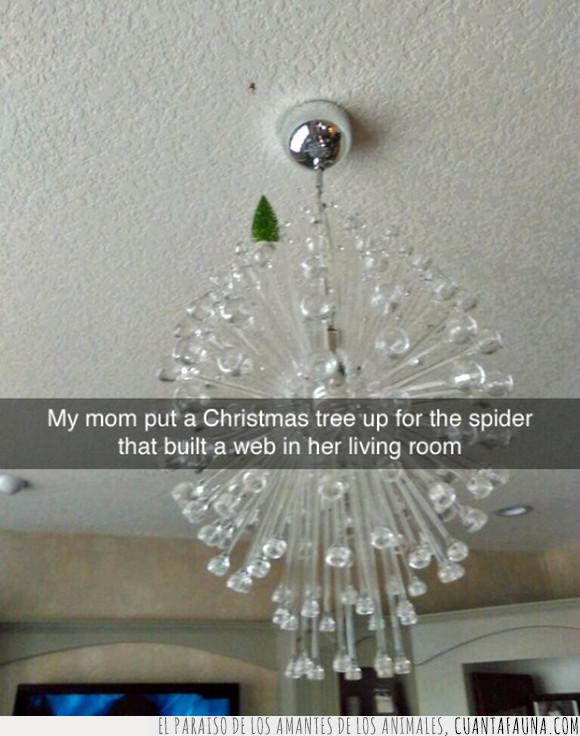 araña,árbol de navidad,celebración,navidad